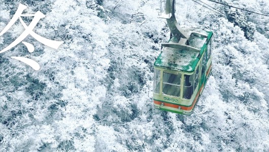 冬